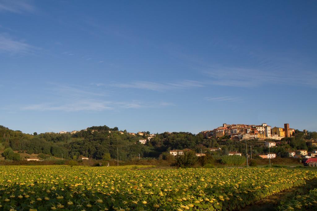 B&B Il Ramaiolo Santa Maria a Monte Bagian luar foto