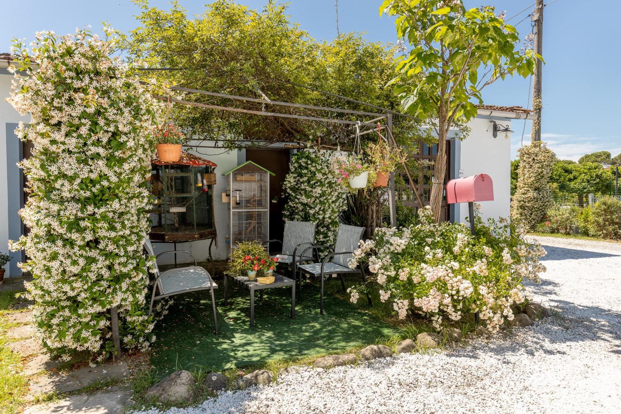 B&B Il Ramaiolo Santa Maria a Monte Bagian luar foto